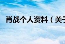 肖戰(zhàn)個人資料（關(guān)于肖戰(zhàn)個人資料的介紹）