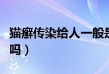 貓癬傳染給人一般是哪些部位（貓癬會(huì)傳染人嗎）