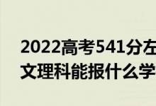 2022高考541分左右能上哪些大學(xué)（新高考文理科能報什么學(xué)校）