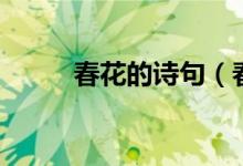 春花的詩句（春花的詩句有什么）