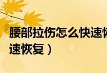 腰部拉傷怎么快速恢復(fù)動(dòng)作（腰部拉傷怎么快速恢復(fù)）