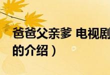 爸爸父親爹 電視?。P(guān)于爸爸父親爹 電視劇的介紹）