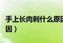手上長肉刺什么原因圖片（手上長肉刺什么原因）