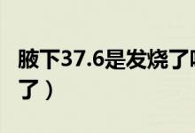 腋下37.6是發(fā)燒了嗎（腋下37度6是不是發(fā)燒了）