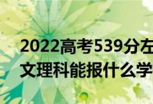 2022高考539分左右能上哪些大學（新高考文理科能報什么學校）