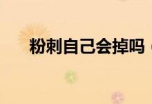 粉刺自己會(huì)掉嗎（粉刺自己會(huì)消失嗎）