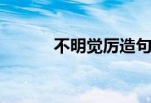 不明覺厲造句（雖不明但覺厲）