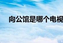 向公館是哪個(gè)電視?。ㄏ旅鏋榇蠹抑v解）