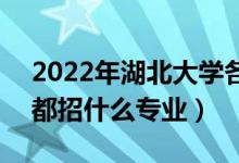 2022年湖北大學(xué)各省招生計(jì)劃及招生人數(shù)（都招什么專業(yè)）