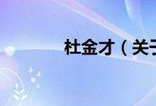 杜金才（關于杜金才的介紹）