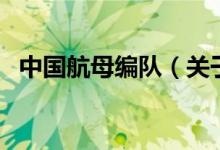 中國(guó)航母編隊(duì)（關(guān)于中國(guó)航母編隊(duì)的介紹）