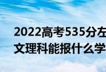 2022高考535分左右能上哪些大學（新高考文理科能報什么學校）