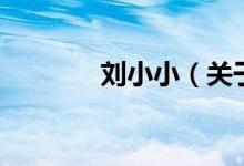 劉小?。P(guān)于劉小小的介紹）