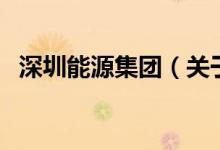 深圳能源集團(tuán)（關(guān)于深圳能源集團(tuán)的介紹）