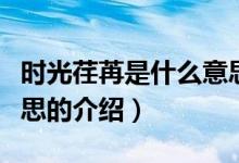 時(shí)光荏苒是什么意思（關(guān)于時(shí)光荏苒是什么意思的介紹）