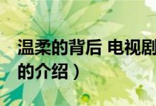溫柔的背后 電視?。P(guān)于溫柔的背后 電視劇的介紹）