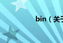 bin（關于bin的介紹）