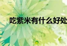 吃紫米有什么好處（吃紫米有什么好處）