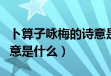 卜算子詠梅的詩意是什么呢（卜算子詠梅的詩意是什么）