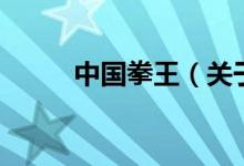 中國(guó)拳王（關(guān)于中國(guó)拳王的介紹）