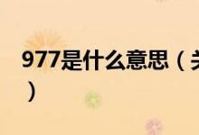 977是什么意思（關于977是什么意思的介紹）