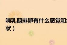 哺乳期排卵有什么感覺(jué)和癥狀（哺乳期第一次排卵有什么癥狀）