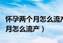 懷孕兩個月怎么流產(chǎn)需要坐月子嗎（懷孕兩個月怎么流產(chǎn)）