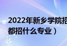 2022年新鄉(xiāng)學(xué)院招生計(jì)劃及招生人數(shù)（各省都招什么專業(yè)）