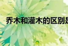 喬木和灌木的區(qū)別是什么（灌木的的簡介）