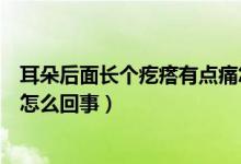 耳朵后面長個疙瘩有點痛怎么回事（耳朵后邊長疙瘩還很疼怎么回事）