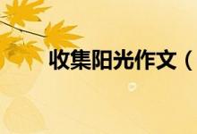 收集陽光作文（收集陽光作文范文）