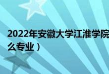 2022年安徽大學(xué)江淮學(xué)院招生計劃及招生人數(shù)（各省都招什么專業(yè)）