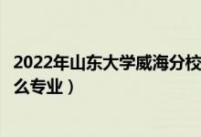 2022年山東大學(xué)威海分校招生計(jì)劃及招生人數(shù)（各省都招什么專(zhuān)業(yè)）