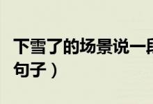 下雪了的場(chǎng)景說一段話（描寫一段下雪的情景句子）
