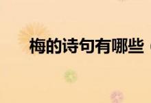 梅的詩(shī)句有哪些（和梅花有關(guān)的詩(shī)句）