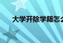 大學(xué)開除學(xué)籍怎么補(bǔ)救（方法是什么）