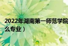 2022年湖南第一師范學(xué)院招生計劃及招生人數(shù)（各省都招什么專業(yè)）