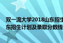 雙一流大學(xué)2018山東招生分數(shù)線（2022年雙一流大學(xué)在山東招生計劃及錄取分數(shù)線）
