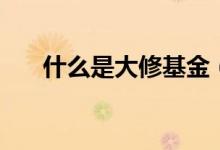 什么是大修基金（大修基金簡單介紹）