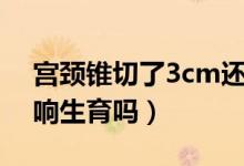 宮頸錐切了3cm還能生育嗎（宮頸錐切術(shù)影響生育嗎）