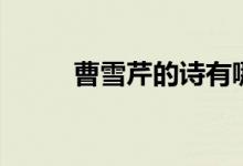 曹雪芹的詩有哪些（曹雪芹簡介）