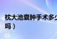 枕大池囊腫手術多少錢（腦部枕大池囊腫嚴重嗎）