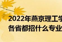 2022年燕京理工學(xué)院招生計劃及招生人數(shù)（各省都招什么專業(yè)）
