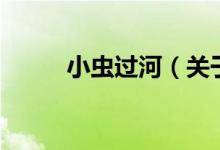 小蟲過河（關(guān)于小蟲過河的介紹）