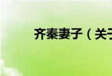 齊秦妻子（關于齊秦妻子的介紹）