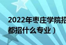 2022年棗莊學(xué)院招生計(jì)劃及招生人數(shù)（各省都招什么專業(yè)）
