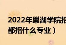 2022年巢湖學(xué)院招生計(jì)劃及招生人數(shù)（各省都招什么專(zhuān)業(yè)）