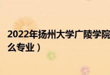 2022年揚州大學廣陵學院各省招生計劃及招生人數(shù)（都招什么專業(yè)）