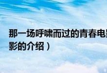 那一場呼嘯而過的青春電影（關于那一場呼嘯而過的青春電影的介紹）
