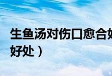 生魚湯對傷口愈合好嗎（生魚湯對傷口愈合的好處）